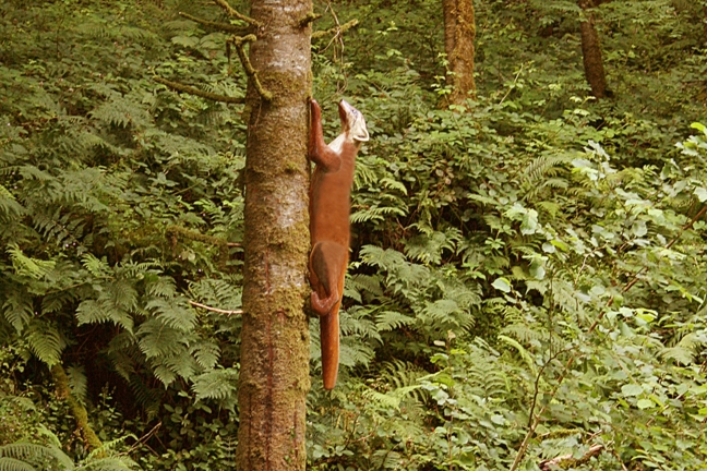 Pine Marten Sculpture